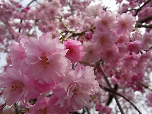 20130416.jpg