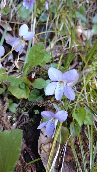 20150407.jpg