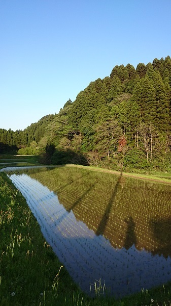 20150504.jpg