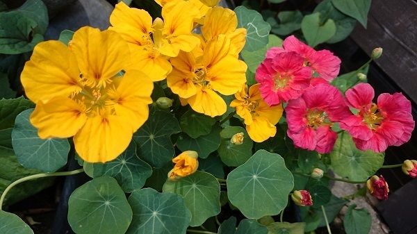 20150505.jpg